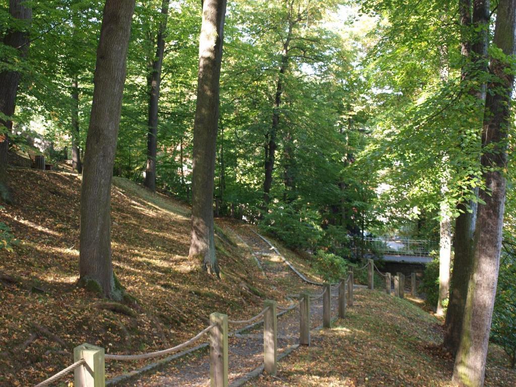 Hotel Saechsisches Haus Berggiesshübel Esterno foto